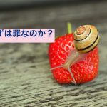 strawberry-799809_640