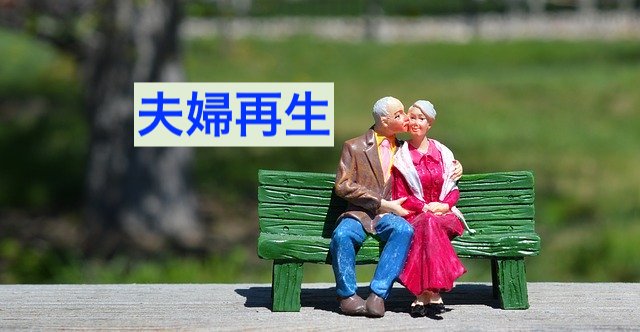 old-couple-2313286_640
